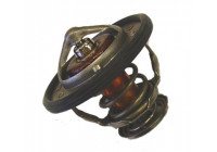 Thermostat d'eau