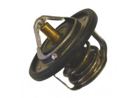 Thermostat d'eau