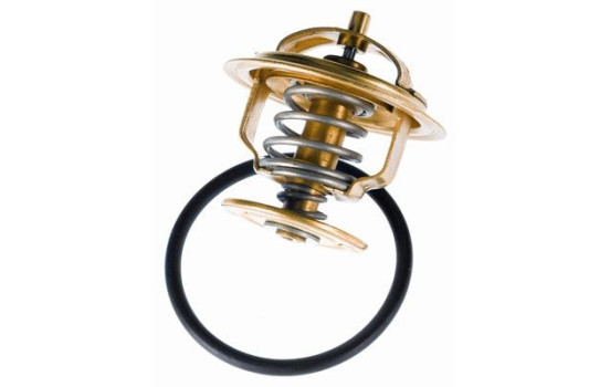 Thermostat d'eau, Image 2