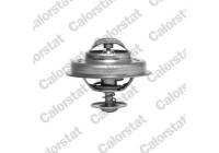 Thermostat d'eau