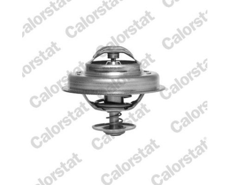 Thermostat d'eau