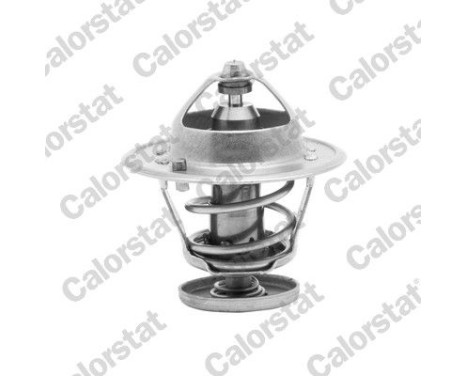 Thermostat d'eau