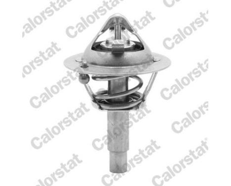 Thermostat d'eau