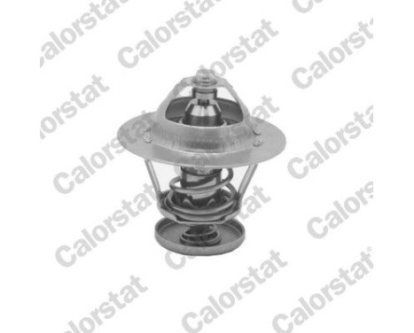 Thermostat d'eau