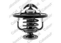 Thermostat d'eau