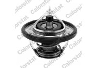 Thermostat d'eau