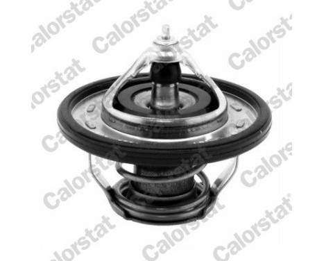 Thermostat d'eau
