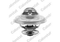 Thermostat d'eau