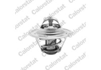 Thermostat d'eau