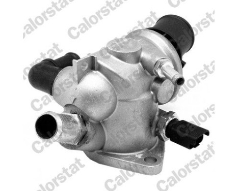 Thermostat d'eau