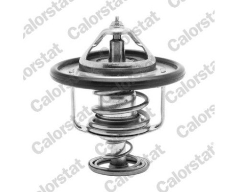 Thermostat d'eau