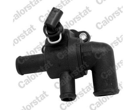 Thermostat d'eau