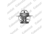 Thermostat d'eau