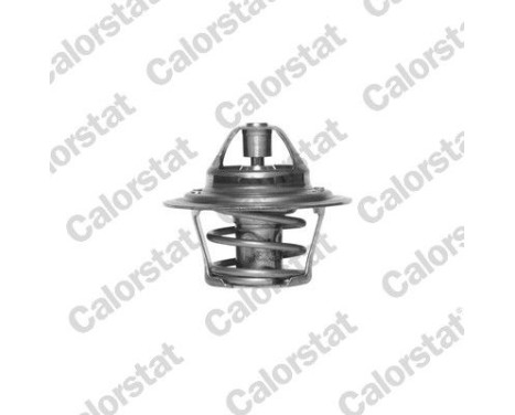 Thermostat d'eau