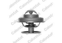 Thermostat d'eau