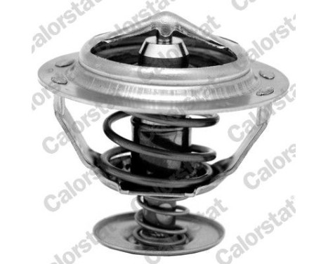 Thermostat d'eau