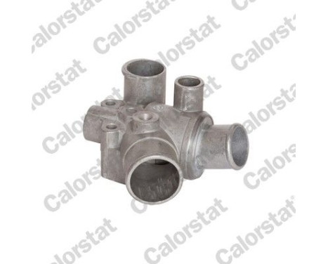 Thermostat d'eau