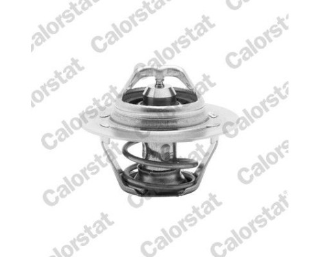 Thermostat d'eau