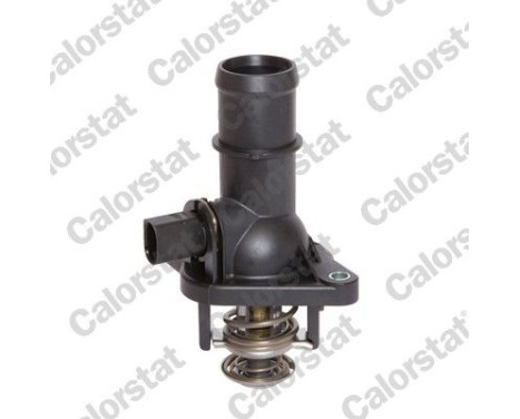 Thermostat d'eau