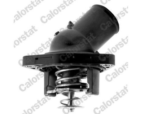 Thermostat d'eau