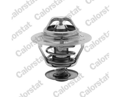 Thermostat d'eau