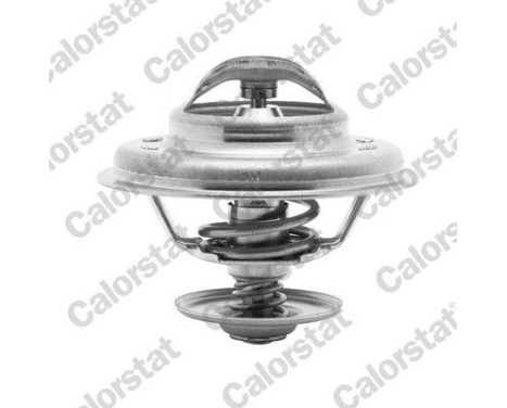 Thermostat d'eau