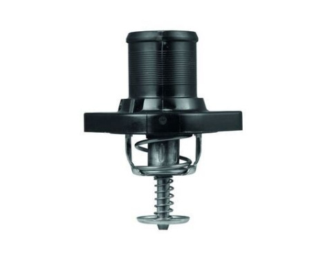 Thermostat d'eau