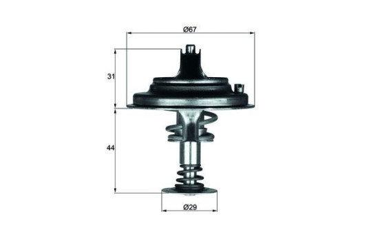 Thermostat d'eau