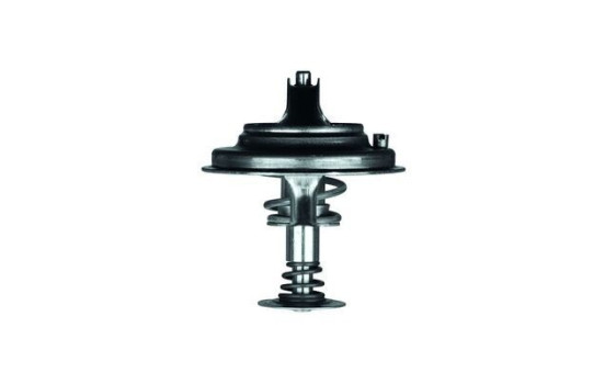 Thermostat d'eau, Image 2