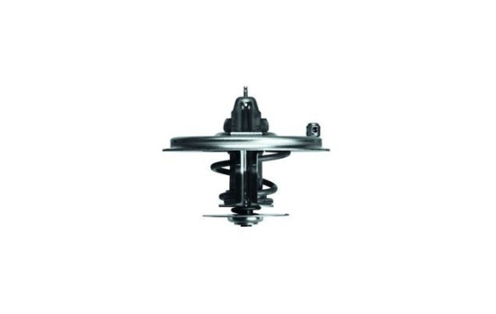 Thermostat d'eau, Image 2