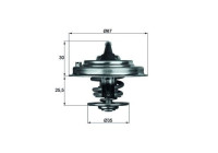 Thermostat d'eau