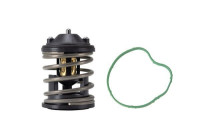 Thermostat d'eau
