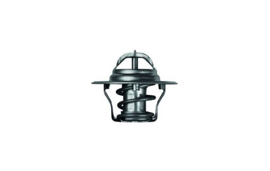 Thermostat d'eau, Image 2
