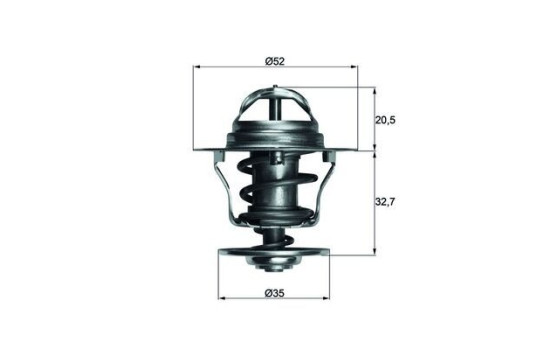 Thermostat d'eau