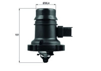 Thermostat d'eau