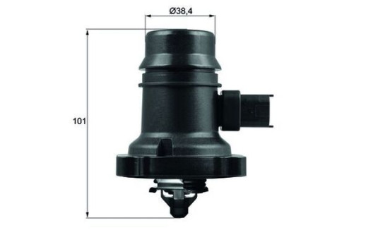 Thermostat d'eau