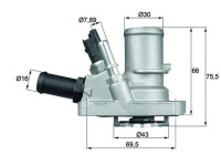 Thermostat d'eau