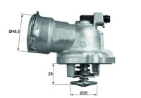 Thermostat d'eau