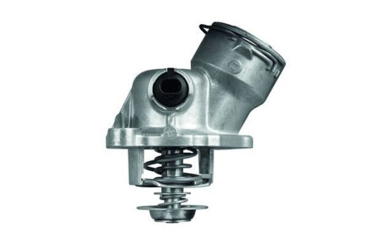 Thermostat d'eau