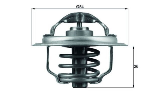 Thermostat d'eau