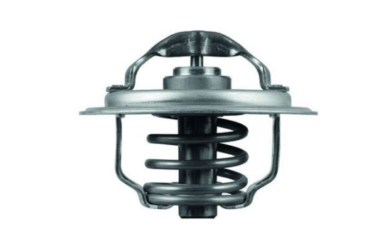 Thermostat d'eau, Image 2