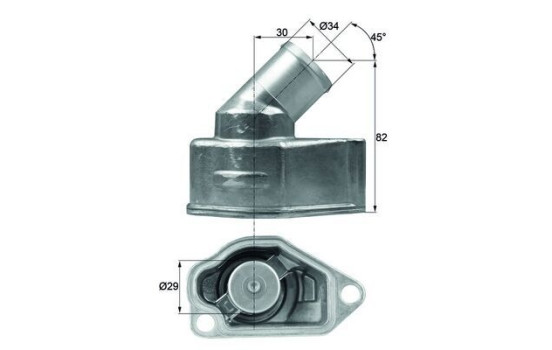 Thermostat d'eau