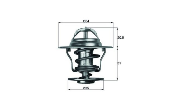 Thermostat d'eau