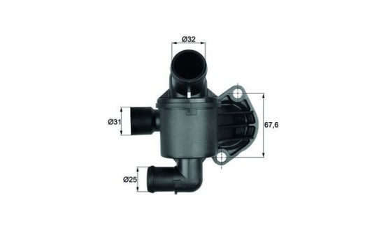 Thermostat d'eau