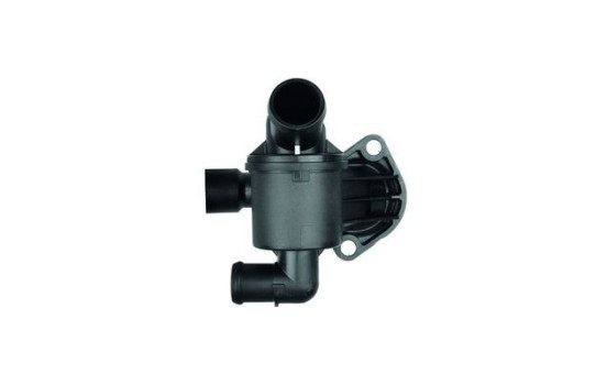 Thermostat d'eau, Image 2