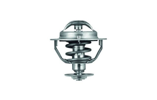 Thermostat d'eau, Image 2