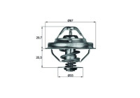 Thermostat d'eau