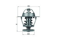 Thermostat d'eau