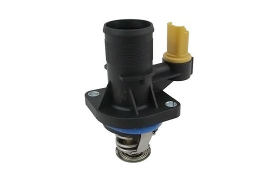 Thermostat d'eau