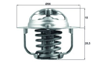 Thermostat, liqiuide de refroidissement BEHR